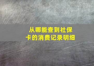 从哪能查到社保卡的消费记录明细