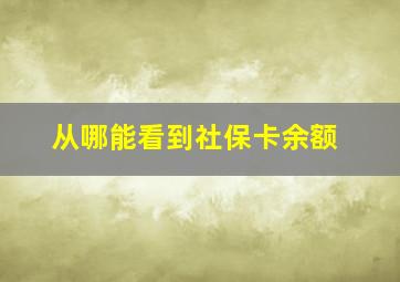 从哪能看到社保卡余额