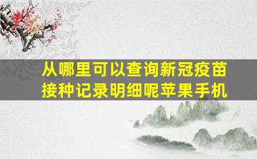 从哪里可以查询新冠疫苗接种记录明细呢苹果手机