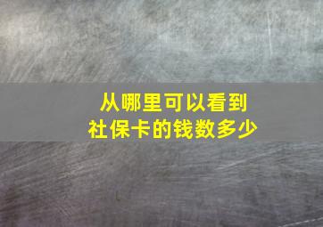 从哪里可以看到社保卡的钱数多少