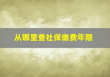 从哪里查社保缴费年限