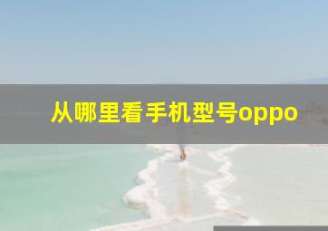 从哪里看手机型号oppo