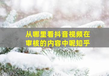 从哪里看抖音视频在审核的内容中呢知乎