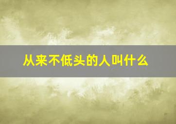 从来不低头的人叫什么