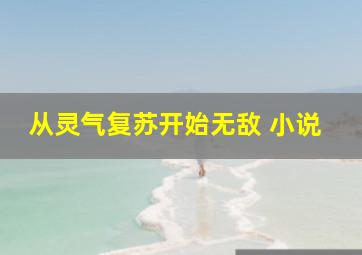 从灵气复苏开始无敌 小说