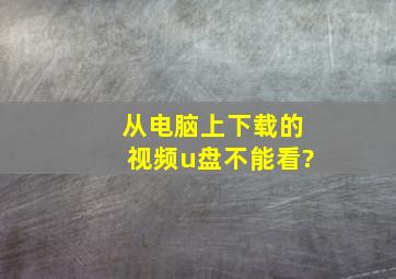 从电脑上下载的视频u盘不能看?