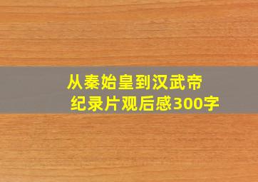 从秦始皇到汉武帝 纪录片观后感300字