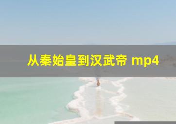 从秦始皇到汉武帝 mp4