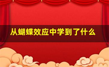 从蝴蝶效应中学到了什么