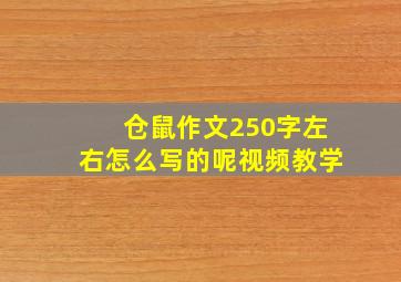 仓鼠作文250字左右怎么写的呢视频教学