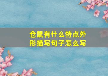 仓鼠有什么特点外形描写句子怎么写