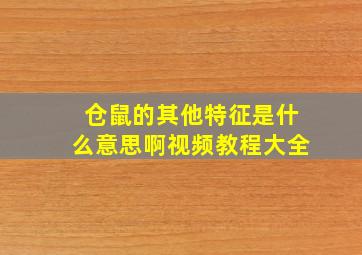 仓鼠的其他特征是什么意思啊视频教程大全