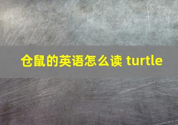 仓鼠的英语怎么读 turtle