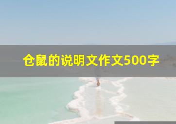 仓鼠的说明文作文500字