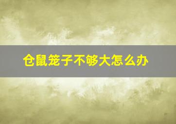 仓鼠笼子不够大怎么办