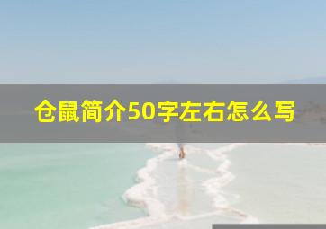 仓鼠简介50字左右怎么写