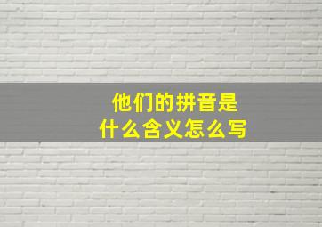 他们的拼音是什么含义怎么写