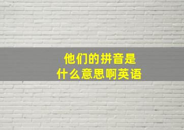 他们的拼音是什么意思啊英语