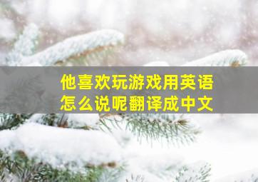 他喜欢玩游戏用英语怎么说呢翻译成中文