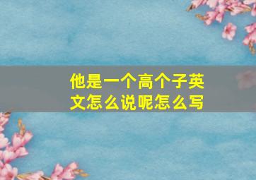 他是一个高个子英文怎么说呢怎么写