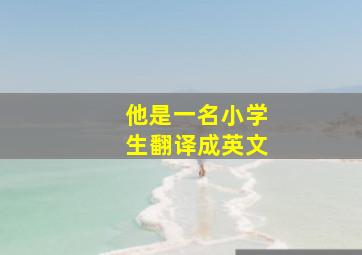 他是一名小学生翻译成英文