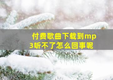 付费歌曲下载到mp3听不了怎么回事呢