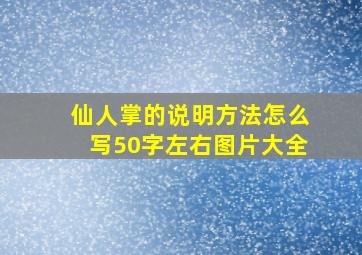 仙人掌的说明方法怎么写50字左右图片大全