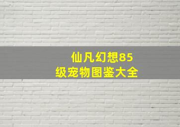 仙凡幻想85级宠物图鉴大全