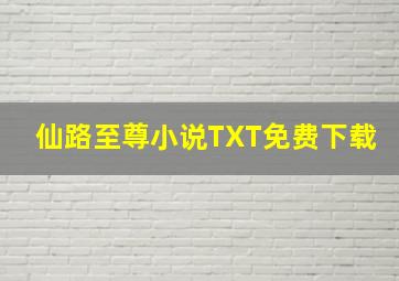 仙路至尊小说TXT免费下载