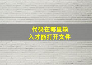 代码在哪里输入才能打开文件