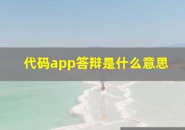 代码app答辩是什么意思