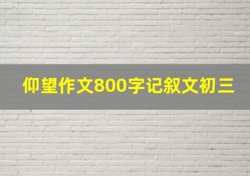 仰望作文800字记叙文初三