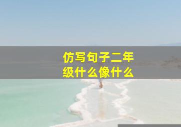 仿写句子二年级什么像什么