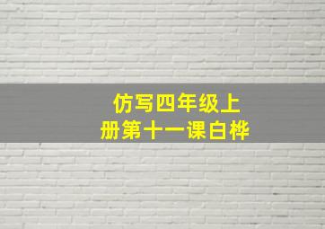 仿写四年级上册第十一课白桦