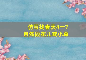 仿写找春天4一7自然段花儿或小草