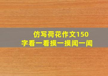 仿写荷花作文150字看一看摸一摸闻一闻