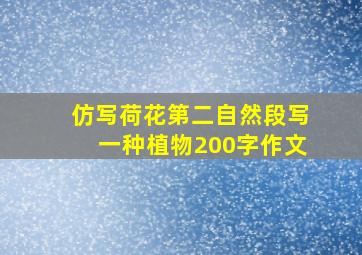 仿写荷花第二自然段写一种植物200字作文