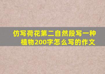 仿写荷花第二自然段写一种植物200字怎么写的作文