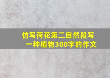 仿写荷花第二自然段写一种植物300字的作文