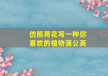 仿照荷花写一种你喜欢的植物蒲公英