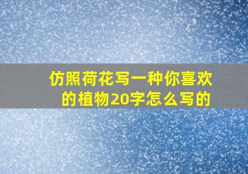 仿照荷花写一种你喜欢的植物20字怎么写的