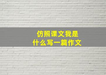 仿照课文我是什么写一篇作文