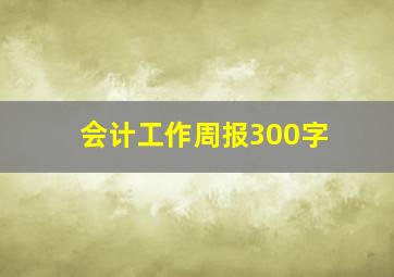 会计工作周报300字