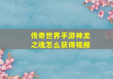 传奇世界手游神龙之魂怎么获得视频