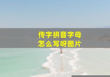 传字拼音字母怎么写呀图片