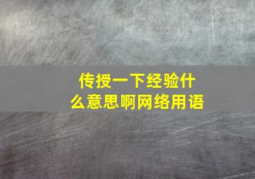 传授一下经验什么意思啊网络用语