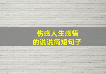 伤感人生感悟的说说简短句子