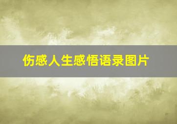 伤感人生感悟语录图片