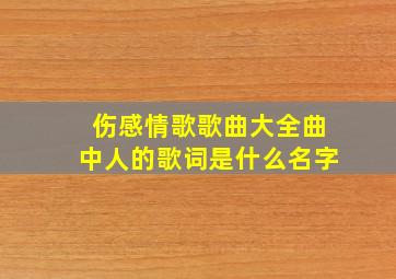 伤感情歌歌曲大全曲中人的歌词是什么名字