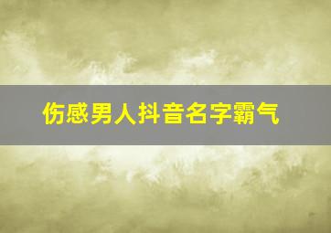 伤感男人抖音名字霸气